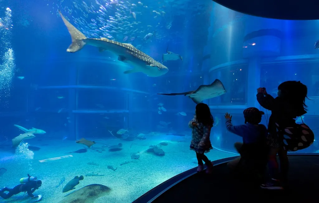 Visitors walking along the spiral ramp inside Osaka Aquarium Kaiyukan, with tanks on both sides showing Pacific Rim marine environments